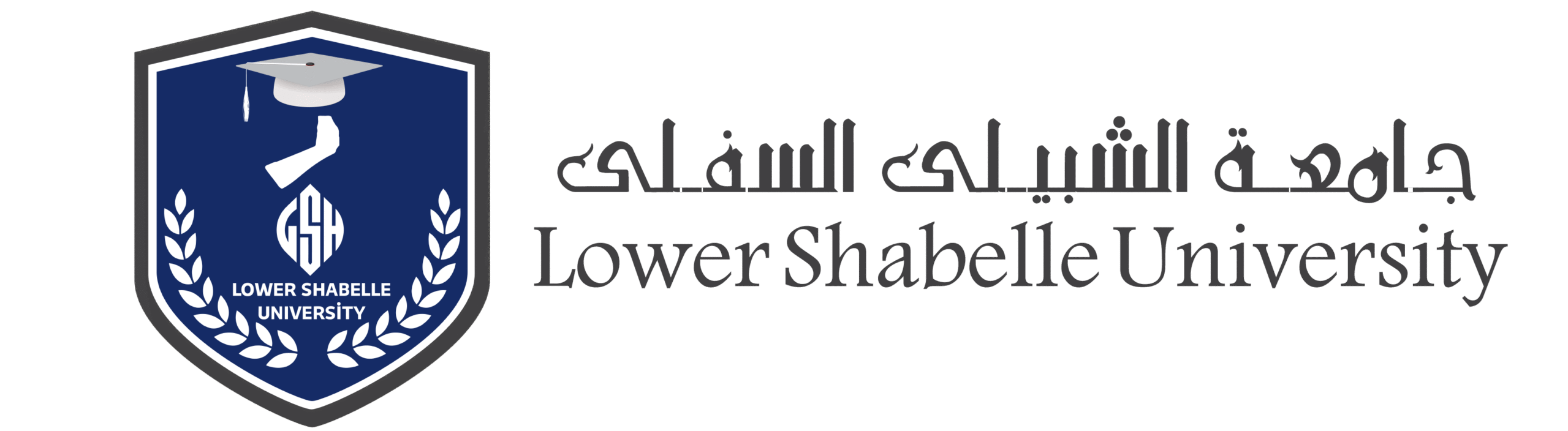 Lower Shebelle University
